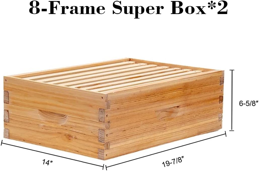BeeCastle 8 Frame Langstroth Bee Hive Coated with Beeswax Includes Beehive Frames and Waxed Foundations (2 Deep Boxes &