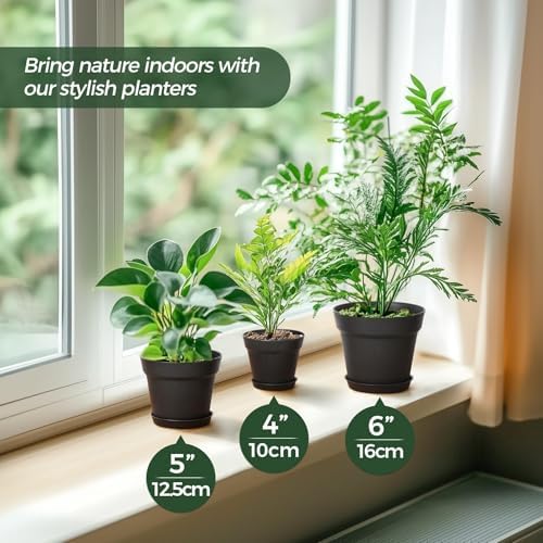 T4U 7.5 Inch Plant Pots 6 Pcs, Flower Pots for Indoor Plants Plastic Pots for Plants with Drainage Holes and Saucer, Planters for Indoor Plants for House Cactus Succulent Black