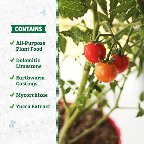 Back to the Roots All-Purpose Potting Mix 6 Quarts (Best Value), 100% Organic & USA Made for Herbs, Veggies, Flowers, w/Nutrient Rich Plant Food, Worm-Castings, & Moisture Controlling Yucca, 2 Packs