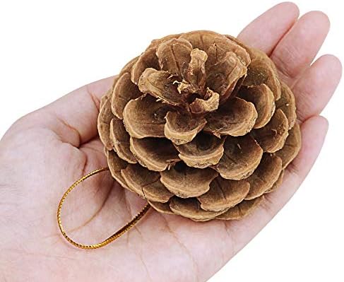 Supla 30 Pcs Christmas Hanging Real Preserved Pine Cones Ornaments 2"-3" Tall Christmas Tree Hanging Pinecone Ornaments