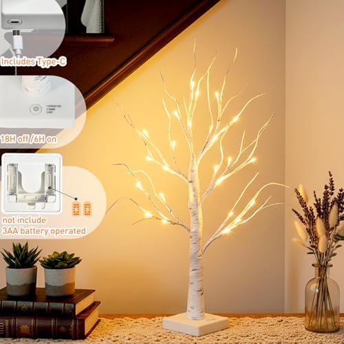 EAMBRITE Lighted Birch Tree Christmas Decorations for Home, White Birch Tree with Lights, 24 LED Lighted Mini Money Tree Twig Tree Battery Operated with Timer, Indoor Table Centerpiece Decor (2FT)