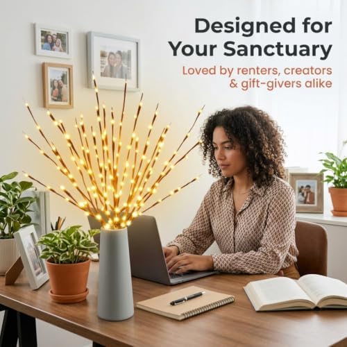 DK177 10Pack Led Branch Light Battery Operated Lighted Branch Vase Filler Willow Tree Artificial Little Twig Power Brown 30 Inch 20 LED for Home Romantic Decoration, 10Pack Warm White