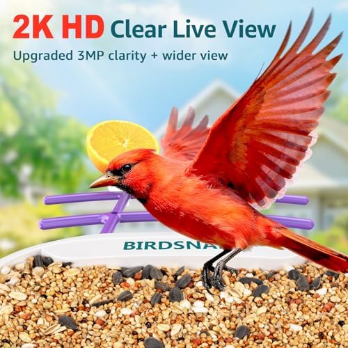 birdsnap® TUC Bird Feeder with Camera Solar Powered 2K Video with 32GB Card