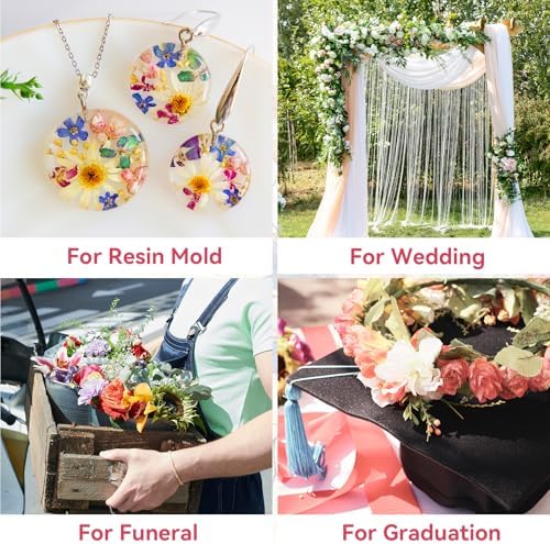 2LBS Silica Gel Flower Drying Crystals, with Brush and User Manual