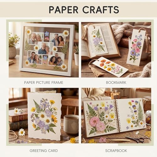 LUXEEASE 4 Color 110P Long Stem Dried Pressed Flowers