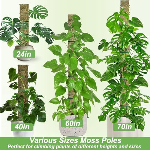 60"/40"/24" Metal Moss Pole, D Shape Sphagnum Moss Pole, Moss Poles for Climbing Plants, Monstera, Indoor Climbing Plants (3 Each of 60" 40" 24")