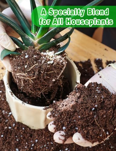 TOYPOPOR Potting Soil for All Indoor Houseplants, (6qt) Contains Perlite, Peat Moss, Coco Coir, Rice Charcoal, Well Draining Potting Mix Light, Aerated Texture for Healthy Plant Roots, Fast Growth