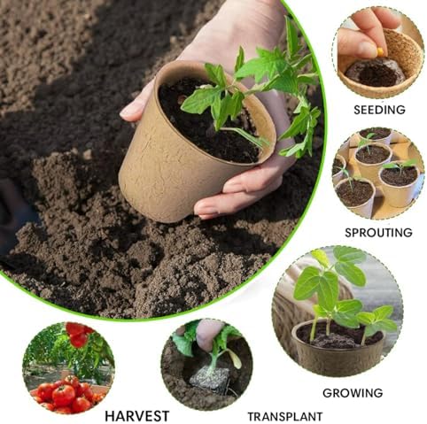 Seed Starter Kit - 10 Peat Pots, Coco Coir Discs & Markers