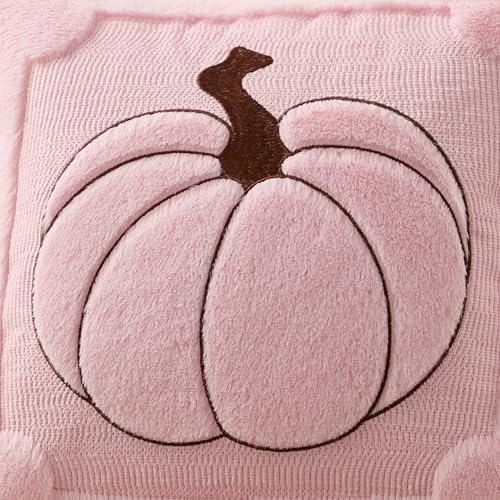 Allorry Fall Pillow Covers 18x18 2 Pack Pink Pumpkin Home Decor PT010H18