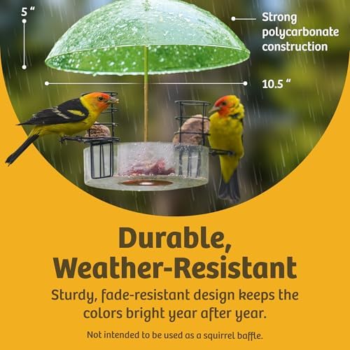 Birds Choice Bird Feeder Dome with Hanger | 10.5in Rain Guard Cover, Blue