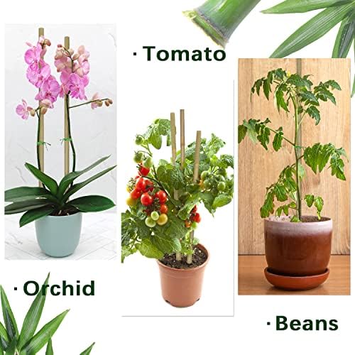 Plant Stakes,12IN Natural Garden Bamboo Sticks, 20Pcs Plant Support Stakes