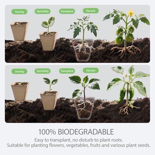 10-Pack Seed Starter Trays – Peat Pots for Seedlings, 120 Biodegradable Seed Starter Pots, Seed Starting Kit with 120 Plant Labels (Large)