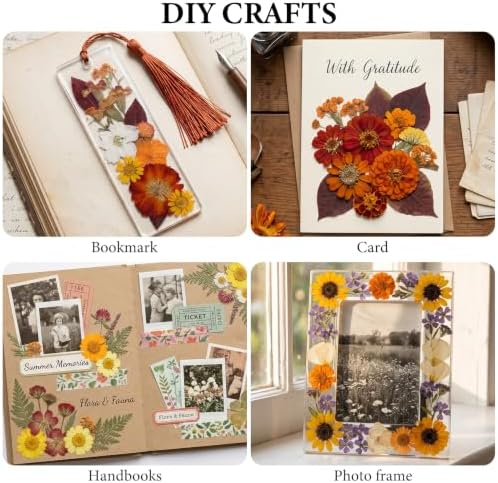 277 Pcs Autumn Dried Flowers for Crafts,Real Nature Dried Flowers for Resin