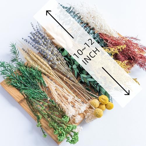 DIY Natural Dried Flower Set, 12 Kinds Bulk Dried Flowers Including Eucalyptus,Lavender,Wheat, Bunny Tails,Billy Ball,for Handmade,Home/Birthday/Seasonal Decor