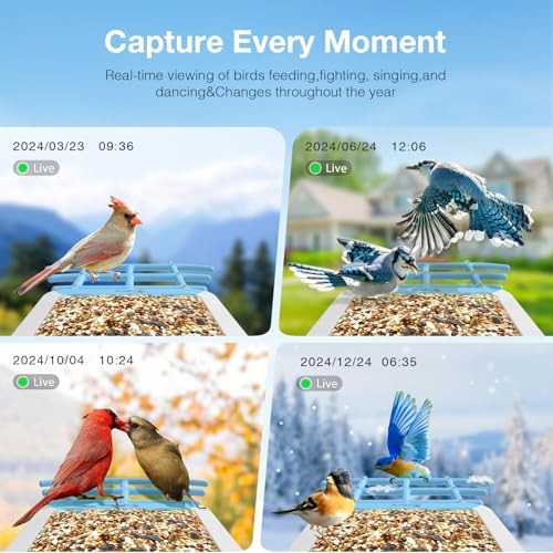 Solar Smart Bird Feeder with Camera, 2.5K HDR Live Video, AI Bird ID