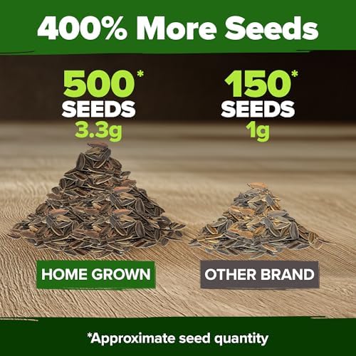 HOME GROWN Zinnia Seeds, Envy, 500 Seeds, Zinnia elegans