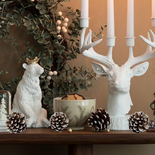 Winlyn 30 Pcs Frosted White Natural Pinecones Christmas Ornaments - Hanging With String for Tree Decorations, Winter Wedding, Holiday Party, DIY Craft, Seasonal Wreath