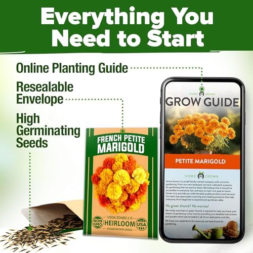 HOME GROWN Petite French Marigold Seeds, 329+ Seeds, Tagetes patula