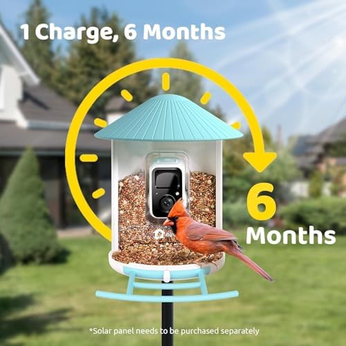 Birdfy Smart Bird Feeder with Camera Solar Power, Smart AI Birdwatching Camera, Auto Capture & Notify, Clear Day & Color Night Video & Pictures, Ideal Gift for Lover