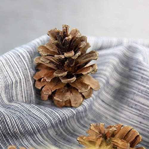 DKKRRNT PineCones Tall Bulk Package All Natural,Real Preserved Pine Cones Big Pinecones and Perfect Natural Pine Cones for Christmas Hanging Ornaments Bowl Vase Fillers (4.3-5.9 in(12pcs))