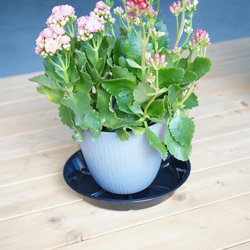 6 Pack of 12 Inches Plant Saucers for Indoor, Durable Plant Saucer Pot Tray, Round Plastic Flower Plant Dish Pant Plate to Catch Water, Black