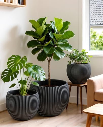 homenote 14.5/12/9.7 Inch Large Plastic Flower Pots with Drainage (3 Pcs)
