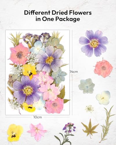 Dried Flowers, Resiners 174Pcs Pressed Flowers for Craft Pink Real Natural Dried Flowers Dry Leaves Kit for DIY Making Crafts Resin Soap Candle Scrapbook Supplies Card Making Jewelry