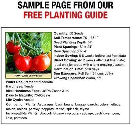 Heirloom Vegetable Seeds Non GMO Survival Seed Kit - Part of Our Legacy and Heritage - 50 Varieties 100% Naturally