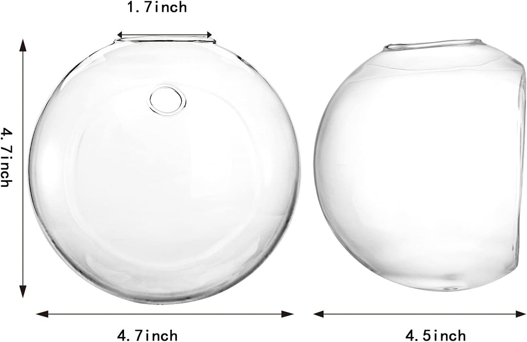 6 Pack Wall Hanging Planters Terrarium, 4.7 Inch Glass Oblate Globe Plants Containers, Wall Mount Clear Flower Vase for