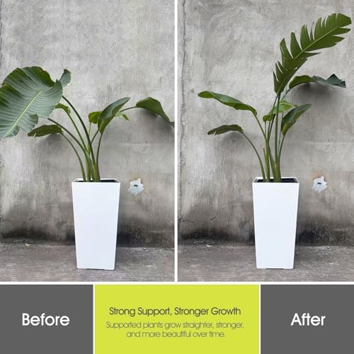 RIFNY Plant Stakes for Indoor Plants, 12 Inch Plant Support Stakes, 16 PCS