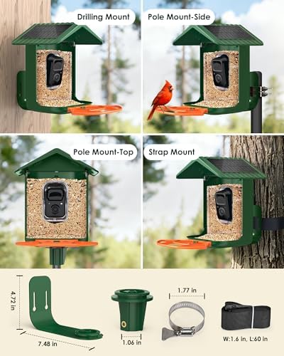 Bird Feeder with Camera Solar Powered 2K Video with 32GB Card Auto Capture