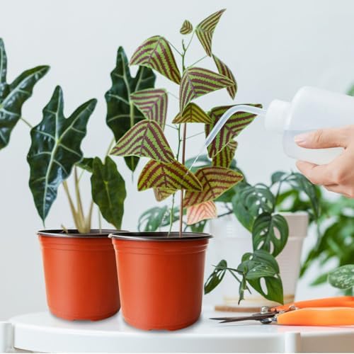 Baaxxango 100 Pcs Plant Nursery Pots,6 Inch Thicker Plastic Seedling Pots with Holes,Seed Starting Pot Flower Plant Container for Succulents,Seedlings,Cuttings,Transplanting