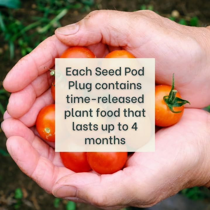 Gardeners' Choice Micro Tom Tomato Seed Pods with Plant Food, 10 Pods | Dwarf patio tomato; fits Click and Grow &