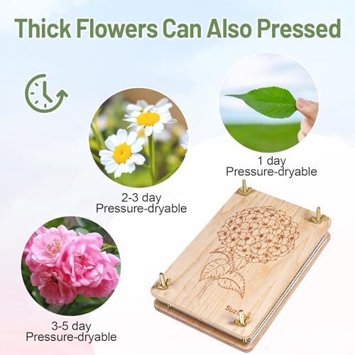 Suziko Large Flower Press Kit for Adults Kids 10.8 x 6.9 inch, Flower Plant Preservation Kit Arts and Crafts for Adults Leaf Press, Great Gift for Lovers, Medium Hydrangea