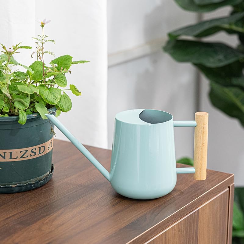 Watering Can Indoor Plants, 30oz/900ml Small Plant Watering Can with Long Spout, Stainless Steel Garden Watering Cans