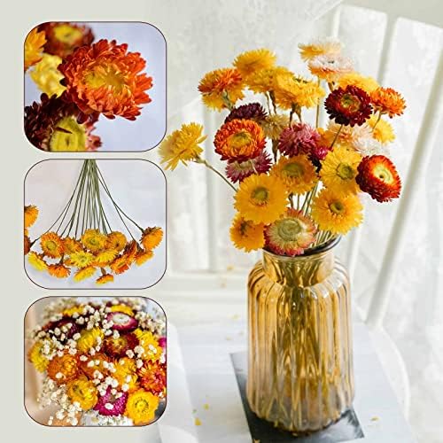 20 Pcs Dried Daisy Flower Bouquet, 17" Multicolor Fall Flowers, Vase Filler