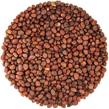 Food to Live - Radish Seeds for Sprouting, 3 Pounds Edible Seeds, Pure, Vegan, Kosher, Bulk. Rich in Vitamin C. High