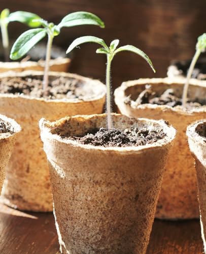 homenote 120 Pcs 3.15 Inch Peat Pots,Nursery Plant Pots,Seed Starting Pots