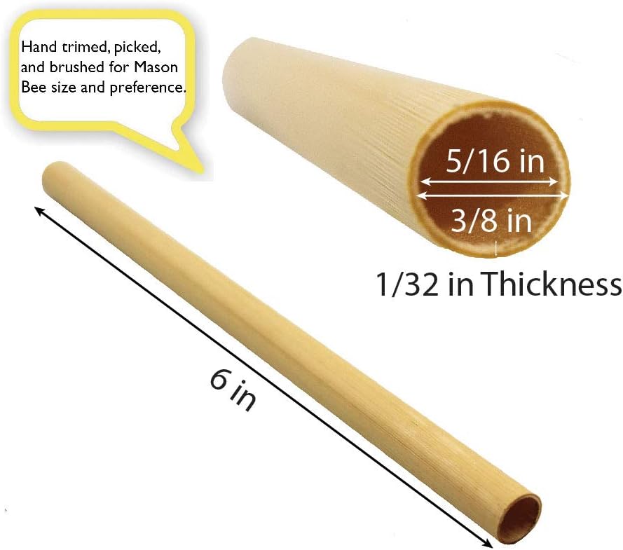 Veezy Mason Bee Tubes Natural Reed Pipe bee hive Inserts Pollinating kit for bee House Blocks bee nest Home Craft