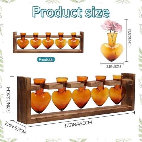 Plant Terrarium Hanging Propagation Stations Gift for Women