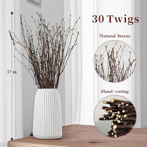 17 Inch Natural Birch Branches Dried Birch Twigs Wreath Making Supplies Dried Plants for Rustic Home Decor Easter Stems Vase Filler DIY Crafts Vases Tall Wreath Christmas Decoration Wedding (30Pcs)