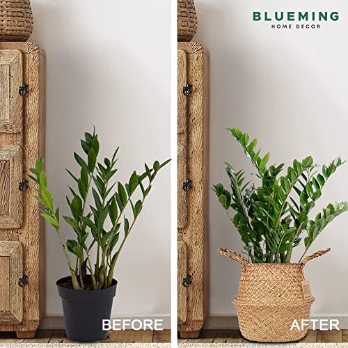 Medium Olive Tree Basket, Natural Woven Planter