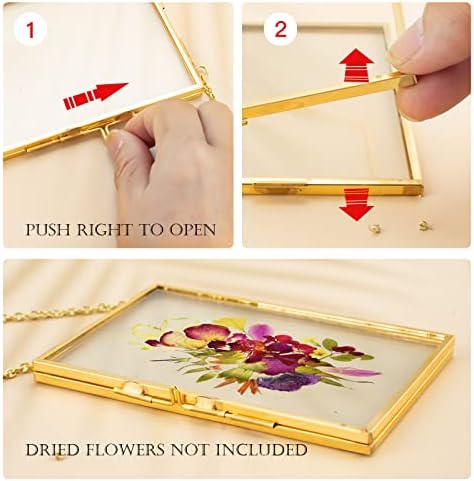 FOCHIER F 3 Pcs Pressed Flower Frames with Tweezers, Wall Hanging Double Glass Frames with Metal Chain for Pressed Dried Flowers Plants, Golden
