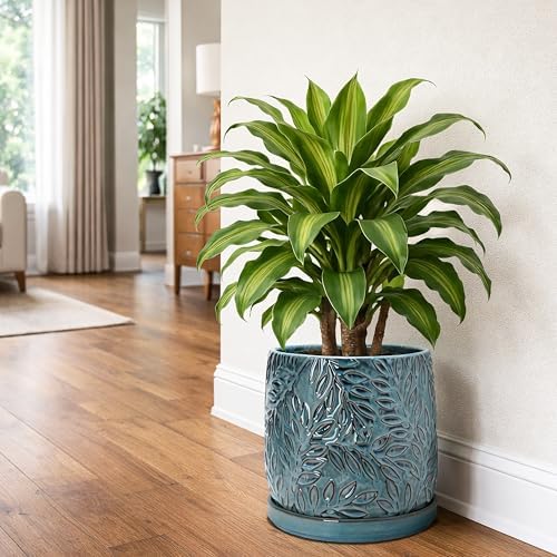D'vine Dev Embossed Leaves Ceramic Planter, 10 in, Ocean Teal, 27-A-P-8