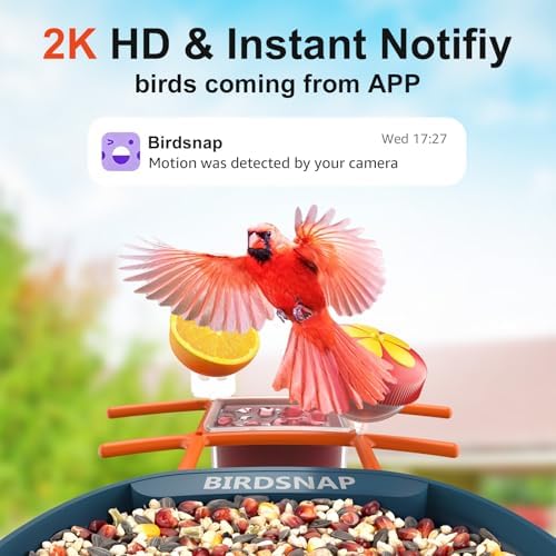 birdsnap® PAV Bird Feeder with Camera Solar Powered 2K Live Video 32GB Card