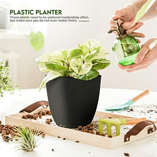 Plant Pots Indoor with Drainage, 5 Pack Multi-Size Planters Set, Black