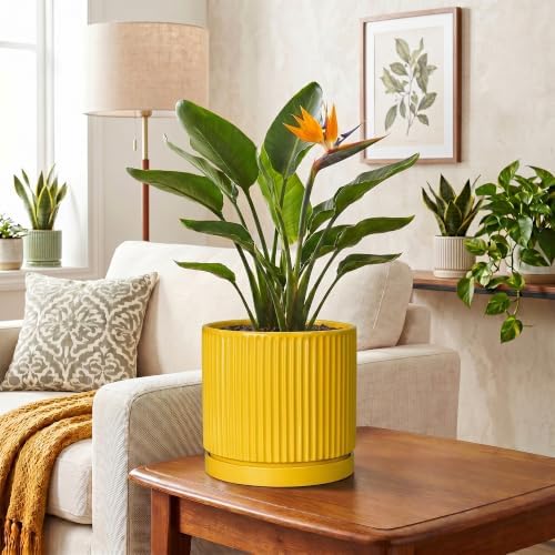 Ceramic Planter 8 Inch, Round Flower Pots with Saucer, Yellow