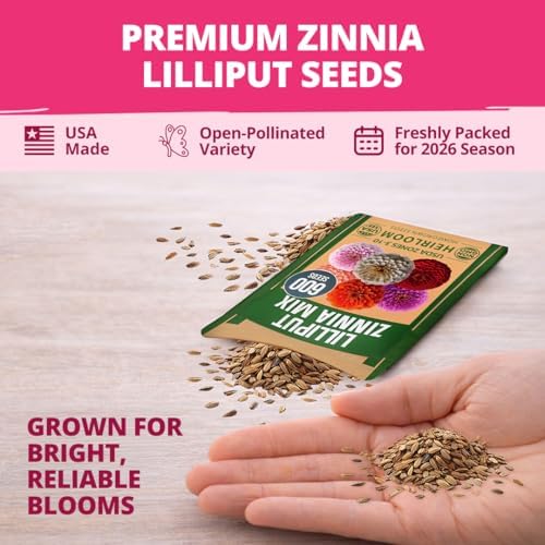 HOME GROWN Zinnia Seeds, Lilliput Mix, 600 Seeds, Zinnia elegans
