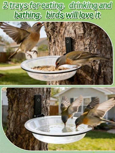 Windproof Bird Feeders Tray - 2pcs Tree Mounted Wild Bird Bath for Outdoors Place Food Water, Installed on Wall Wooden Deck Fence with Heavy Duty Iron Ring, 7.2'' Dia. (Clear)