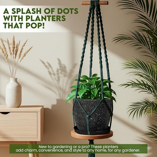 Plant Pots Indoor with Drainage 5 Pack Multi-Size Planters Set Spotty Black
